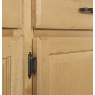 Flush mount shop cabinet hinges